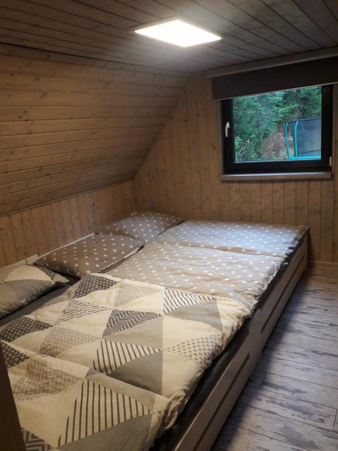 Chata 100 Český Jiřetín 外观 照片
